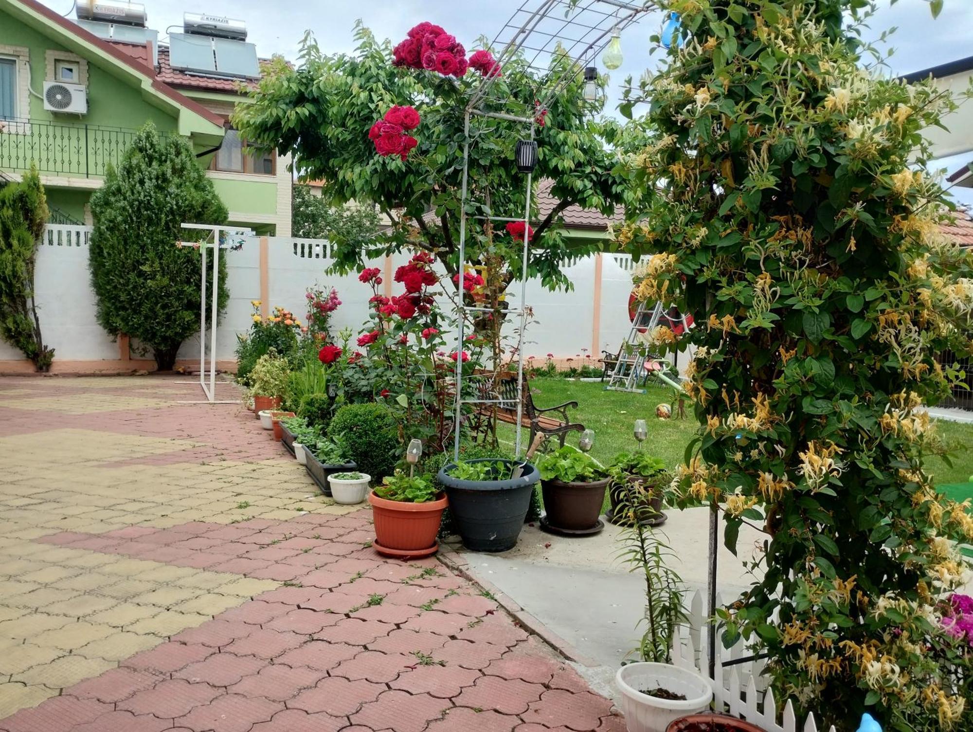 Casa Georgeta 2 Mai-punct Gastronomic Local-arome Dobrogene Privatunterkunft